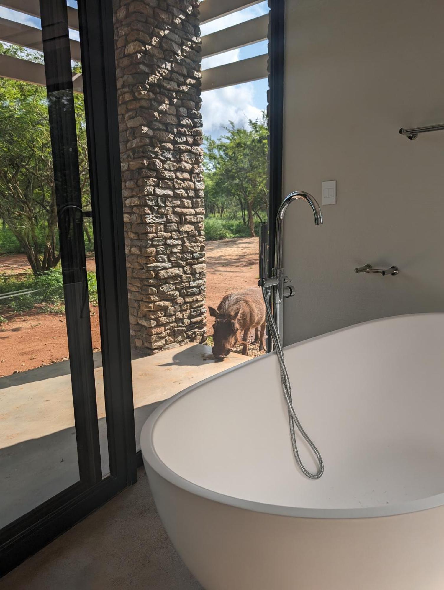 Ungava Retreat Villa Marloth Park Dış mekan fotoğraf