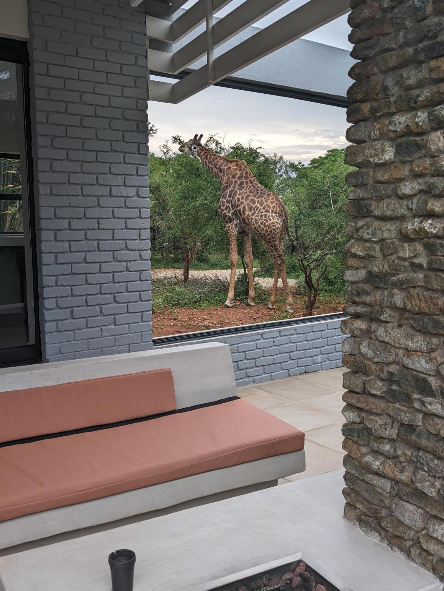 Ungava Retreat Villa Marloth Park Dış mekan fotoğraf